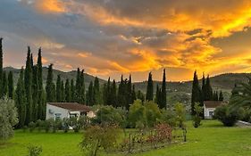 Casita Higo